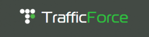 Traffic Force